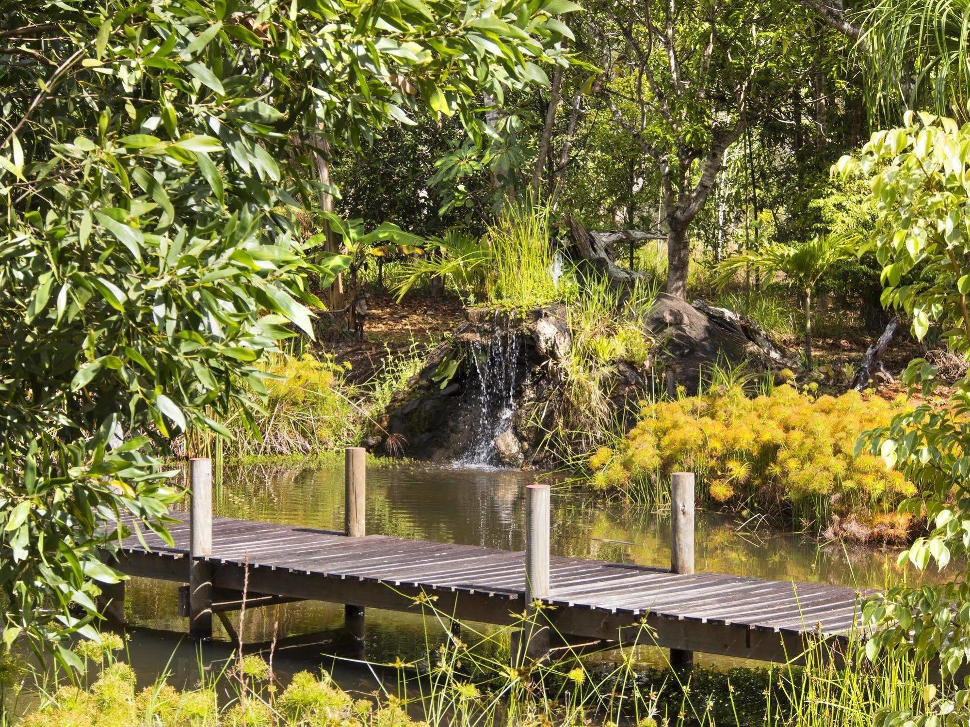 Cedar Park Rainforest Resort Koah Εξωτερικό φωτογραφία