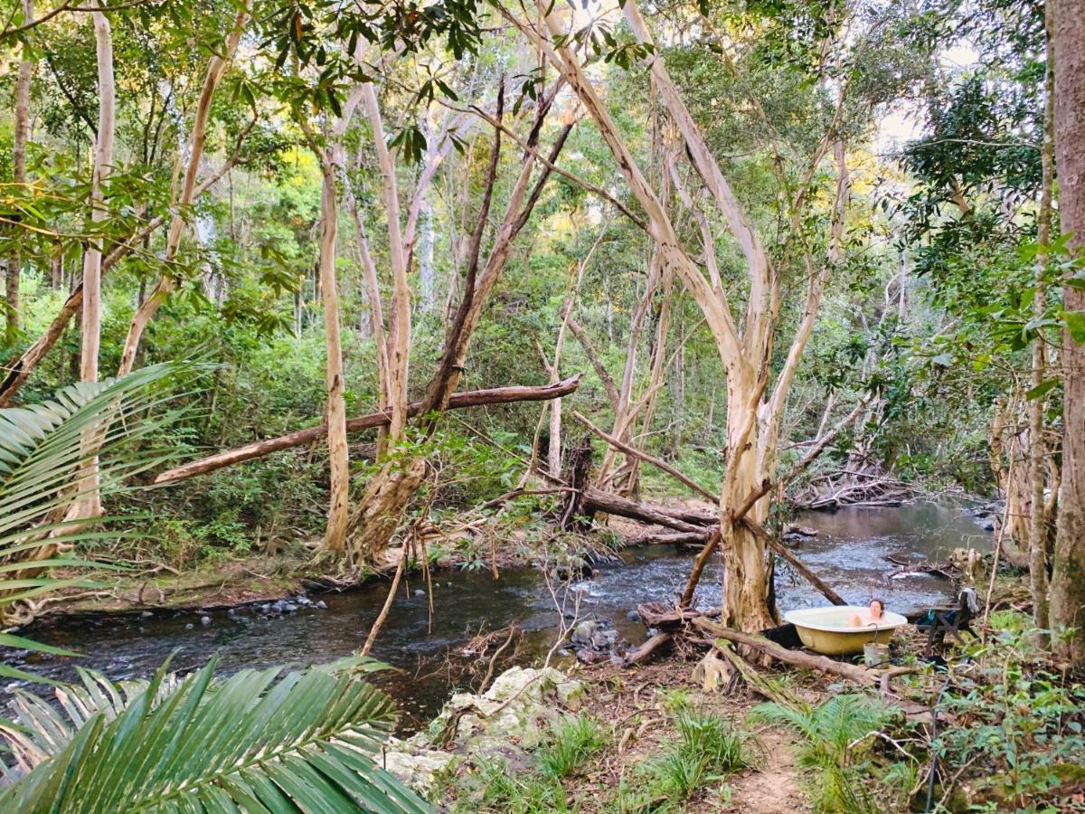 Cedar Park Rainforest Resort Koah Εξωτερικό φωτογραφία